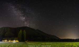 Pineta panoramica low