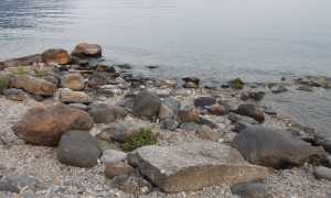 SICCITà LAGO00003