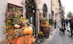 Santa Zucca 2017 1167 LR