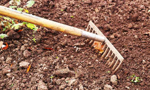 Schermata 2017 12 02 alle 10.43.45