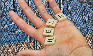 Schermata 2018 03 12 alle 20.21.21