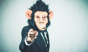 Schermata 2018 06 18 alle 16.37.57