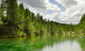 Schermata 2018 07 10 alle 18.37.44