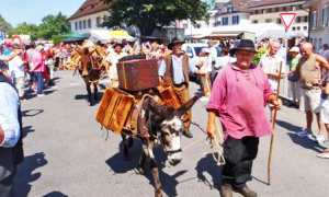 Schermata 2018 08 23 alle 08.35.09