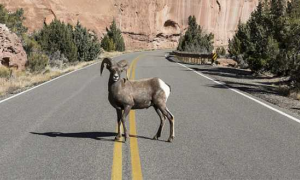 Schermata 2018 11 15 alle 14.45.44