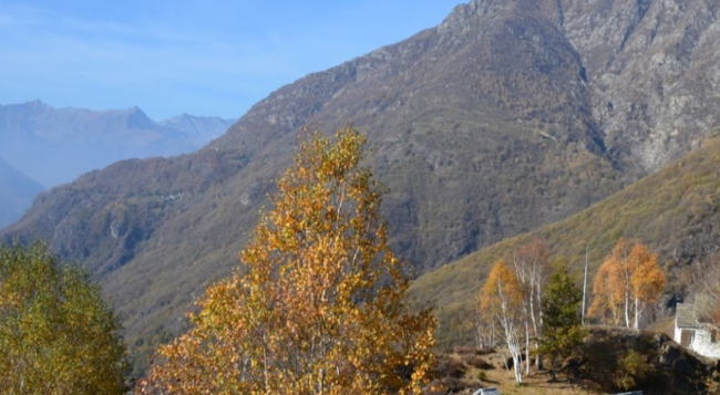 Schermata 2018 12 13 alle 10.34.55