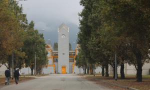 Schermata 2019 01 11 alle 15.42.33