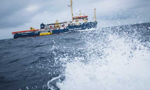 Schermata 2019 01 29 alle 18.06.43