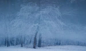 Schermata 2019 01 31 alle 17.48.50