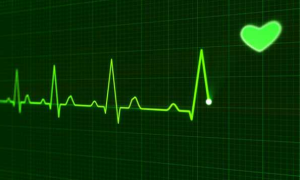 Schermata 2019 02 15 alle 13.38.20