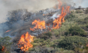 Schermata 2019 02 23 alle 10.21.31