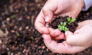 Schermata 2019 03 01 alle 14.53.21