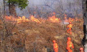 Schermata 2019 03 02 alle 10.05.37