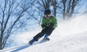 Schermata 2019 03 16 alle 10.50.44