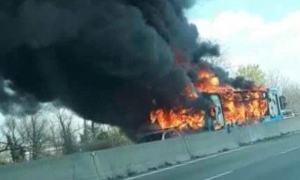 Schermata 2019 03 20 alle 20.57.42