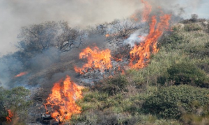 Schermata 2019 05 15 alle 19.32.52