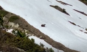 Schermata 2019 06 28 alle 11.39.33