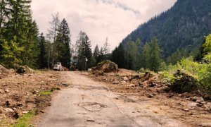 Schermata 2019 09 07 alle 10.24.09