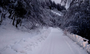 Schermata 2019 11 23 alle 20.58.17