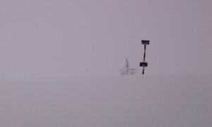 Schermata 2019 11 24 alle 10.56.38