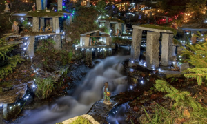 Schermata 2019 11 25 alle 09.21.18