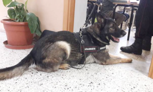 Schermata 2019 12 11 alle 09.14.48