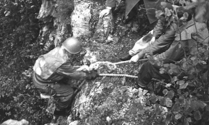 Schermata 2020 02 09 alle 10.28.29