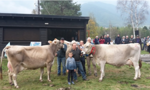 Schermata 2020 09 07 alle 10.27.15