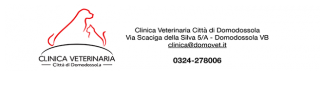 Schermata 2020 10 05 alle 17.21.29