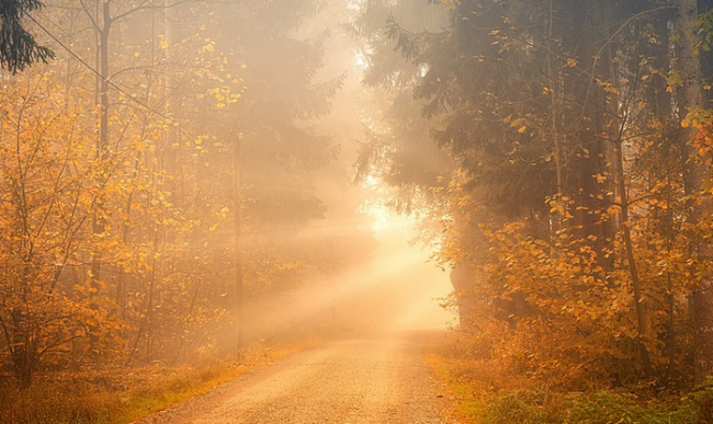 Schermata 2020 11 20 alle 11.04.49