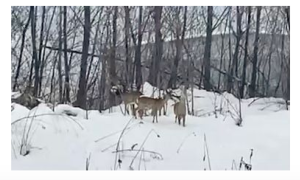 Schermata 2020 12 08 alle 17.15.20