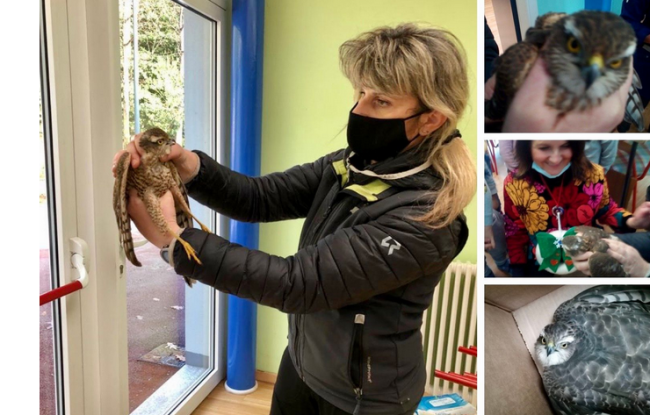 Schermata 2020 12 22 alle 20.42.05