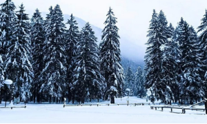 Schermata 2021 01 03 alle 16.50.36