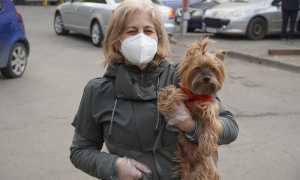 Schermata 2021 02 20 alle 16.22.07