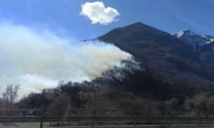 Schermata 2021 03 14 alle 12.49.35