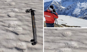 Schermata 2021 04 06 alle 17.28.24