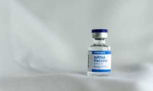 Schermata 2021 06 17 alle 20.10.27 images articles vco ossola 2021 settembre thumb medium650 0