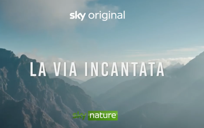 Schermata 2021 12 21 alle 12.05.27