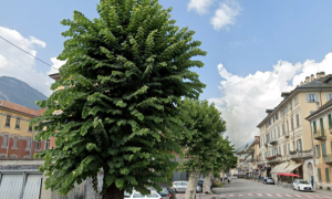 Schermata 2022 02 04 alle 09.57.20