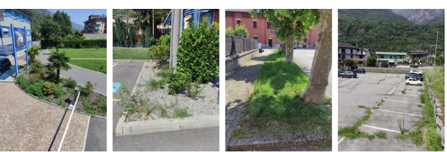 Schermata 2022 07 18 alle 08.56.38