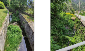 Schermata 2022 07 30 alle 15.19.07