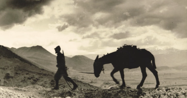 Schermata 2022 10 15 alle 11.38.53