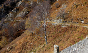 Schermata 2022 12 28 alle 08.32.23