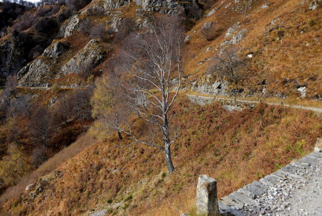 Schermata 2022 12 28 alle 08.32.23