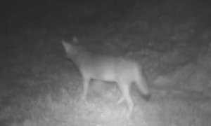 Schermata 2023 01 13 alle 09.15.26