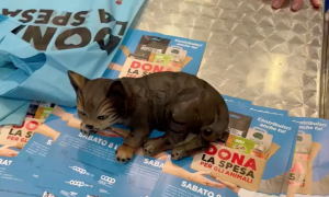 Schermata 2023 07 10 alle 07.35.13