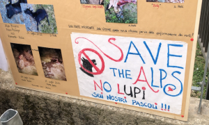 Schermata 2023 07 13 alle 13.43.08