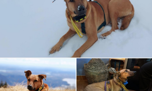 Schermata 2024 01 08 alle 17.31.43