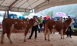 Schermata 2024 04 29 alle 09.22.41