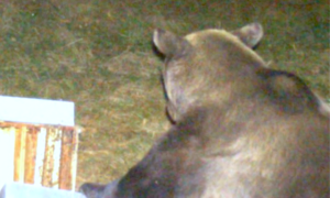 Schermata 2024 11 02 alle 08.40.22